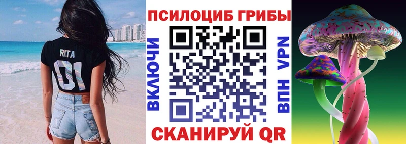 Псилоцибиновые грибы Cubensis  KRAKEN онион  Снежногорск 